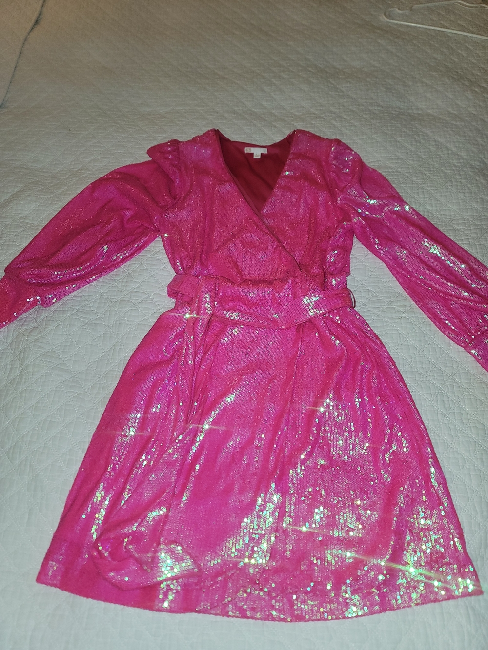 Women’s GB Pink Fuchsia Shimmer Sequin Long Sleeve Mini Dress Belted L
